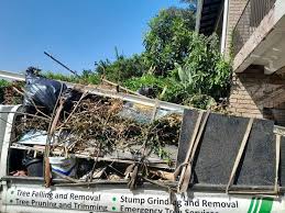 Best Residential Junk Removal  in Little Falls, MN