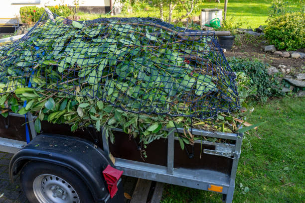 Best Commercial Junk Removal  in Little Falls, MN